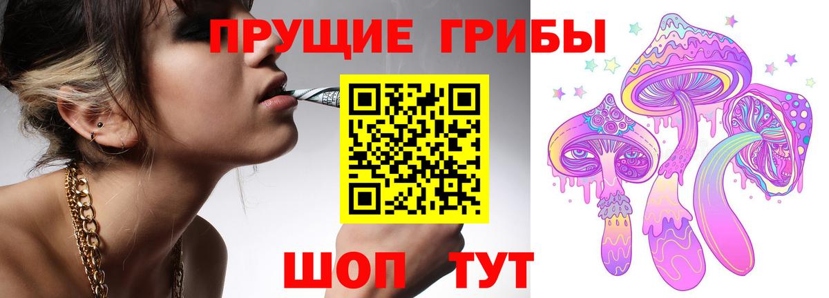 хочу   Галлюциногенные грибы прущие грибы  Вход с VPN  Рассказово  Псилоцибиновые грибы Cubensis 